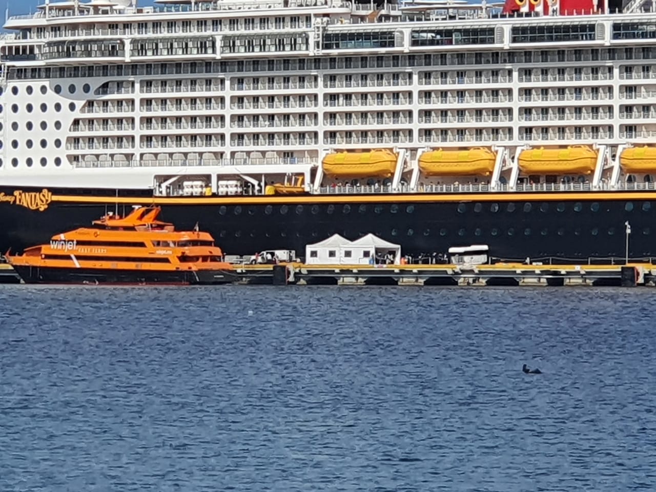 crucero Disney